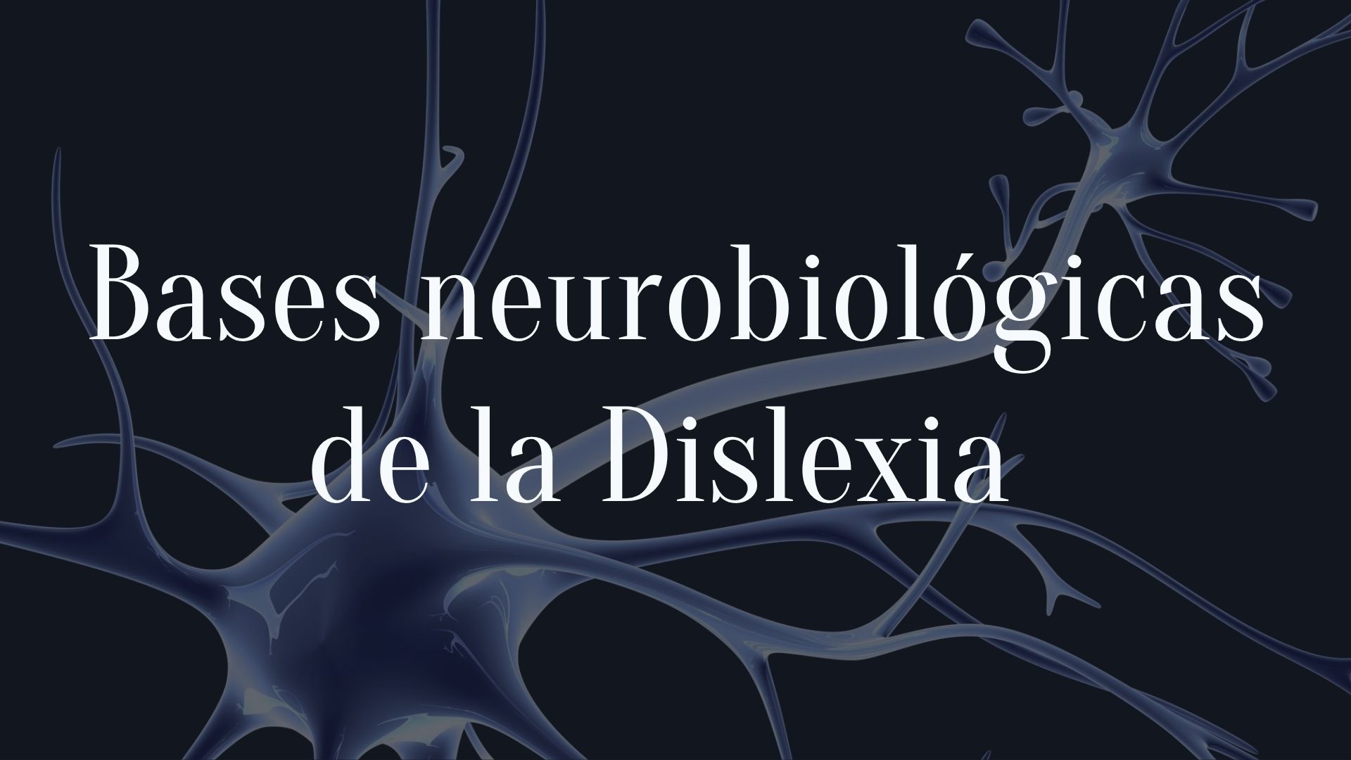 Bases Neurobiológicas de la Dislexia